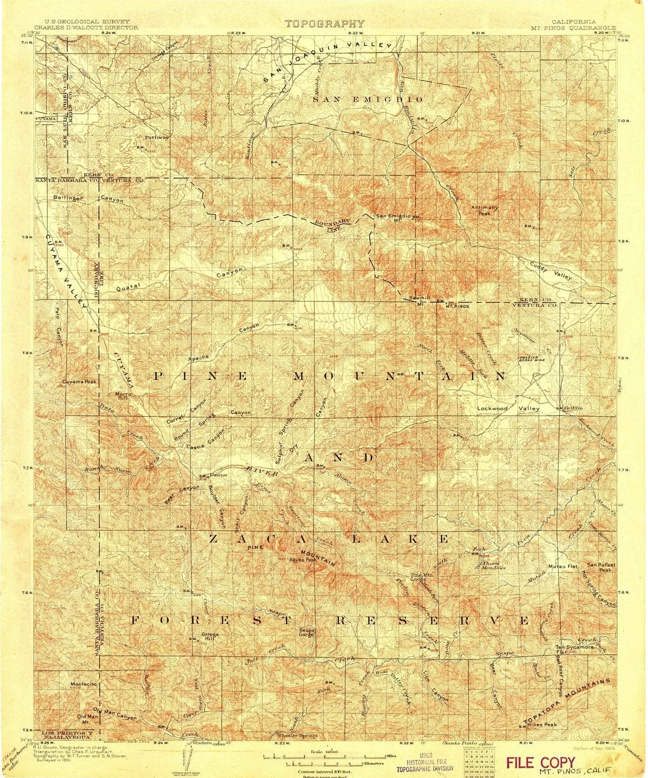 1903 Mt. Pinos, CA - California - USGS Topographic Map