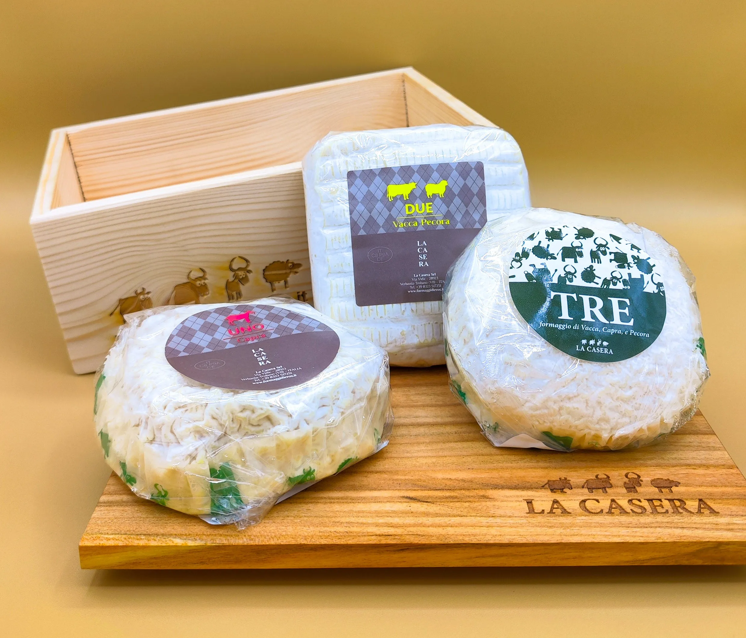 CHEESEBOX - Conserva i tuoi formaggi!