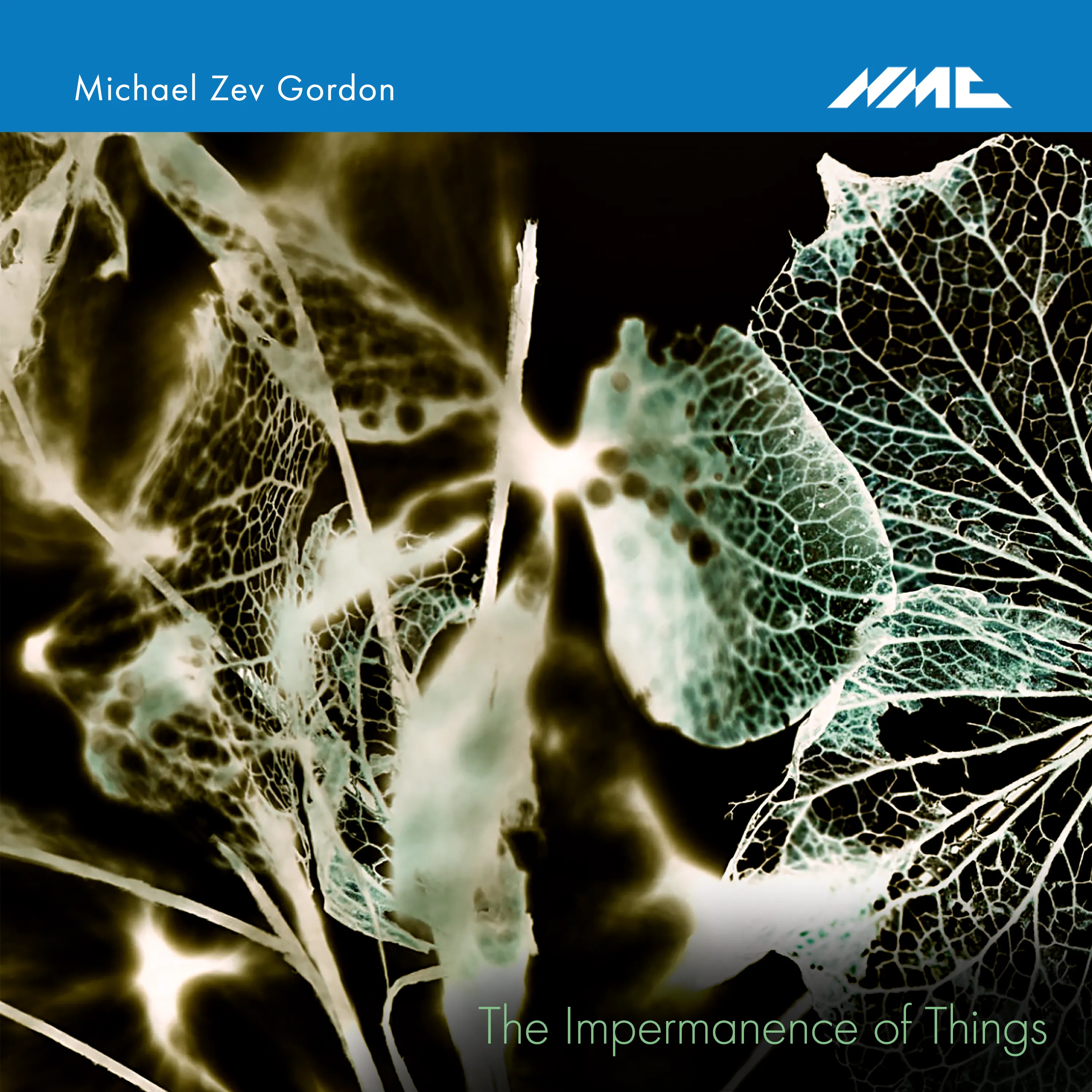 Michael Zev Gordon: The Impermanence of Things